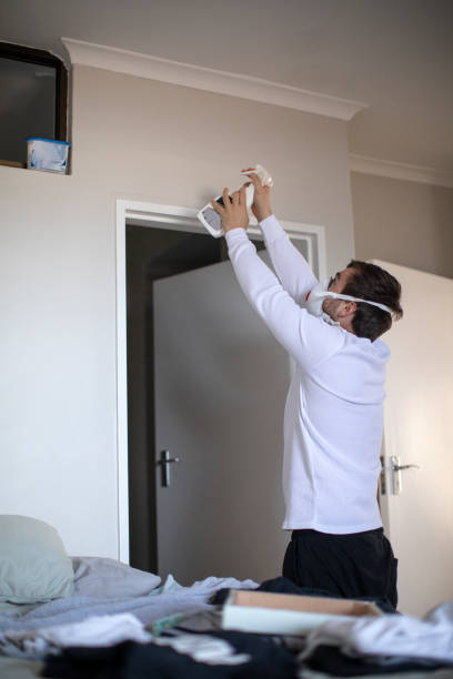 Best Mold Odor Removal Services  in Jefferson City, TN