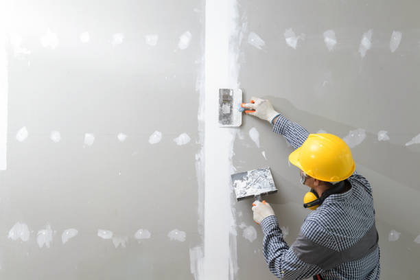 Best Crawl Space Mold Remediation  in Jefferson City, TN